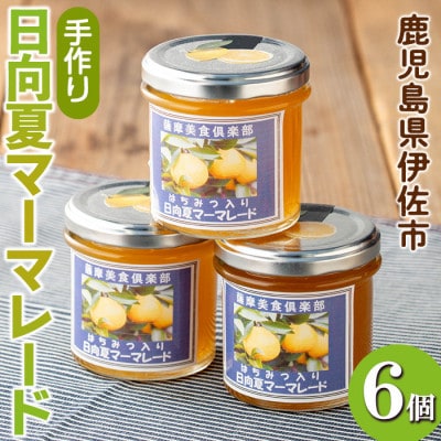 手作りはちみつ入り日向夏マーマレード(計6個・各140g)　isa549