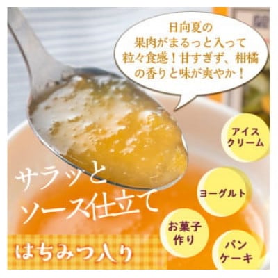 手作りはちみつ入り日向夏マーマレード(計9個・各140g)　isa550