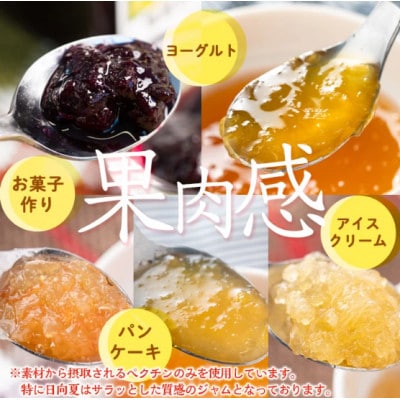 5種のバラエティージャム食べ比べセット　isa554