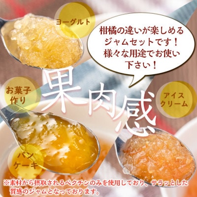 3種の柑橘ジャム食べ比べセットB(計3個・ボンタン、サワーポメロ、紅甘夏 各140g)isa680