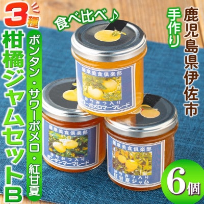 3種の柑橘ジャム食べ比べセットB(計6個・ボンタン、サワーポメロ、紅甘夏 各140g)isa681