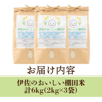 令和7年産 伊佐のおいしい棚田米 ヒノヒカリ(計6kg・2kg×3袋)