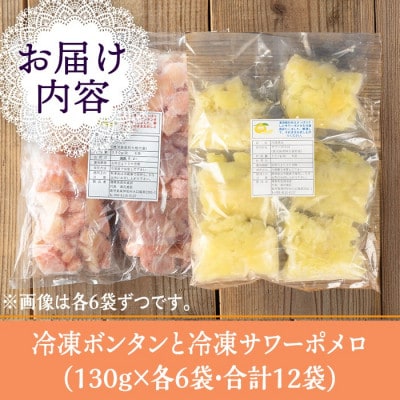 冷凍ボンタン6袋と冷凍サワーポメロ6袋食べ比べセット(合計12袋・各130g) isa866