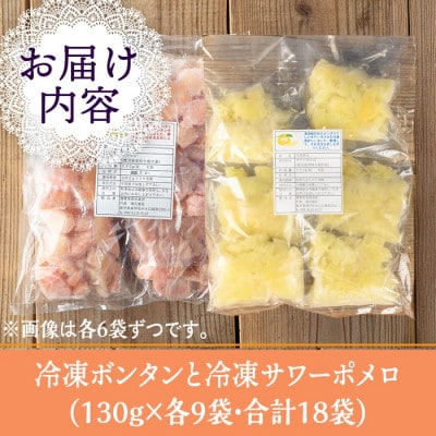 冷凍ボンタン9袋と冷凍サワーポメロ9袋食べ比べセット(合計18袋・各130g) isa867