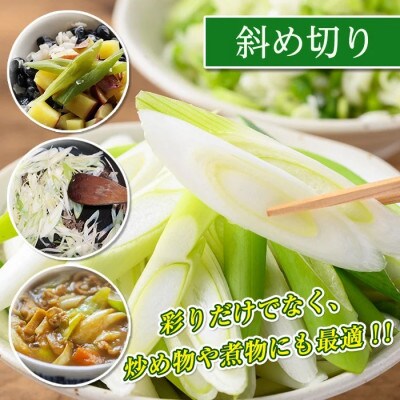 冷凍カット伊佐ねぎ(斜め切5袋)