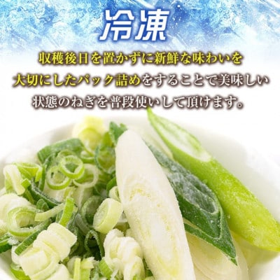 冷凍カット伊佐ねぎ(斜め切6袋)