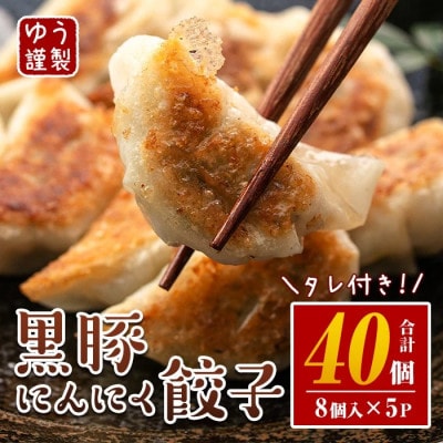 黒豚にんにく餃子(計40個・8個入り×5P)