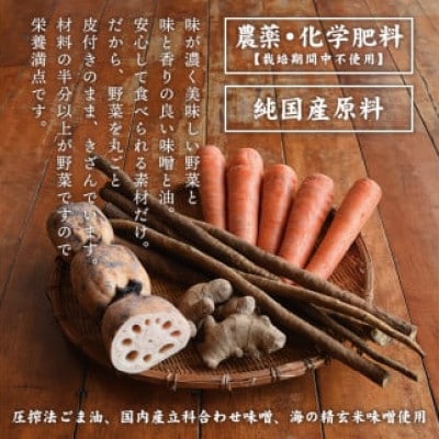鉄釜炒り根菜味噌そぼろ(計4袋・大豆ミート入り×2袋、ねぎ入り×2袋)