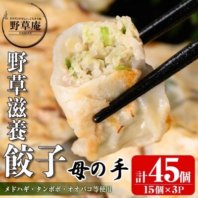 野草滋養餃子「母の手」(計45個・15個×3P)