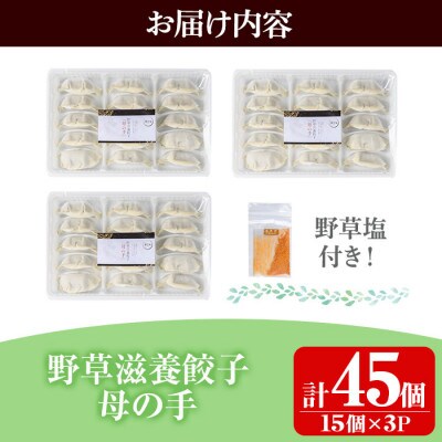 野草滋養餃子「母の手」(計45個・15個×3P)