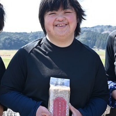 【ふるさと納税】曽木食彩手作りかまど味噌(計3kg・1kg×3個)