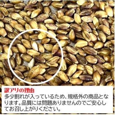 《訳あり》鹿児島県伊佐市産もち麦!【ダイシモチ】(計3kg・500g×6袋)