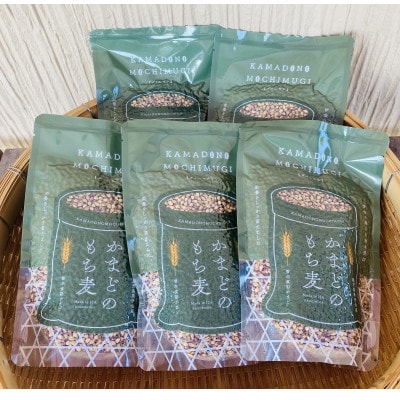 《訳あり》鹿児島県伊佐市産もち麦!【ダイシモチ】(計1.5kg・300g×5袋)