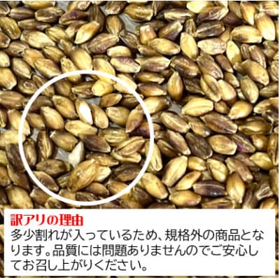 《訳あり》鹿児島県伊佐市産もち麦!【ダイシモチ】(計1.5kg・300g×5袋)