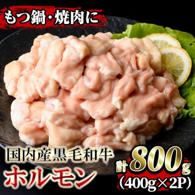 国内産黒毛和牛!ホルモン焼肉・もつ鍋用(計800g・400g×2P)