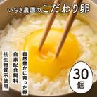 いちき農園のこだわり卵(計30個・10個入り×3パック)