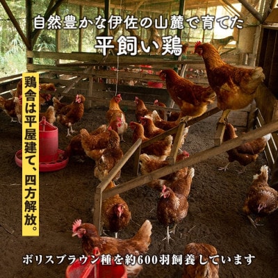 いちき農園のこだわり卵(計30個・10個入り×3パック)