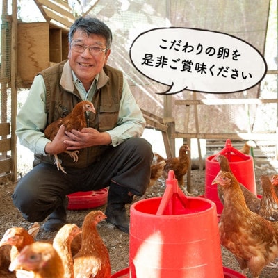 いちき農園のこだわり卵(計30個・10個入り×3パック)