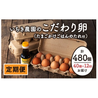 【毎月定期便】いちき農園のこだわり卵40個(計480個)全12回