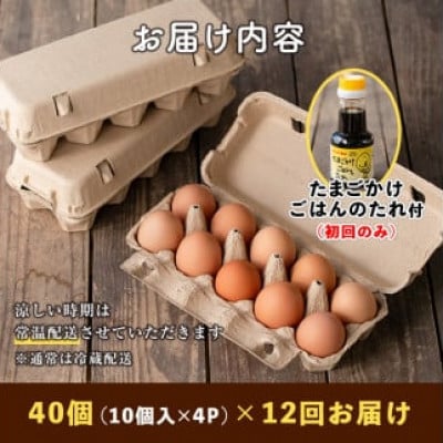 【毎月定期便】いちき農園のこだわり卵40個(計480個)全12回
