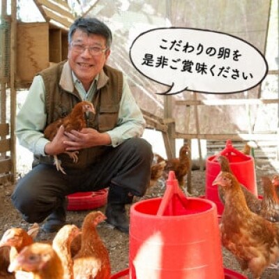 【毎月定期便】いちき農園のこだわり卵40個(計480個)全12回