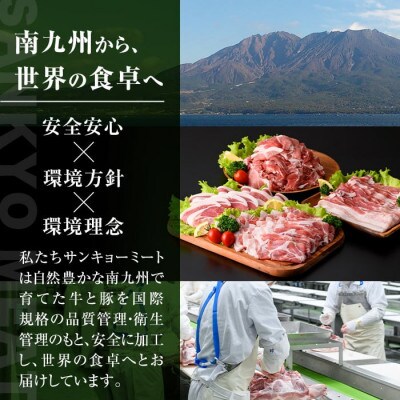 【生産者応援企画】鹿児島県産黒豚ロースとんかつ用・肩ロースとんてき用セット (合計840g)