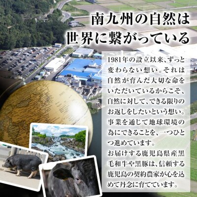 【生産者応援企画】鹿児島県産黒豚ロースとんかつ用・肩ロースとんてき用セット (合計840g)