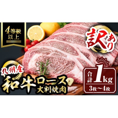 【生産者応援企画】九州産和牛ロース大判焼肉(合計1kg・3枚～4枚)
