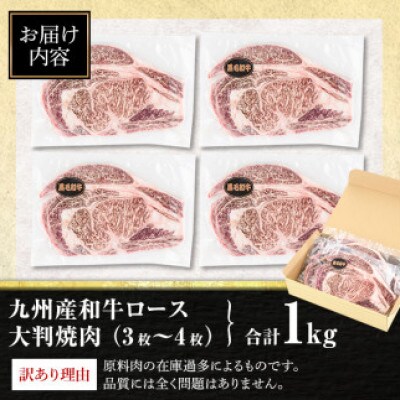 【生産者応援企画】九州産和牛ロース大判焼肉(合計1kg・3枚～4枚)