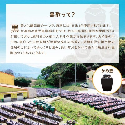 黒酢 ドリンク セット 900ml 合計2本 アセロラ 黒糖黒酢(伊佐市)