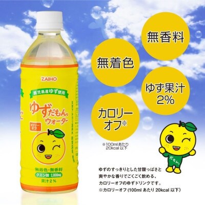 【毎月定期便】ゆずドリンク 500ml (48本) ペットボトル ゆずだもん。(伊佐市)全6回