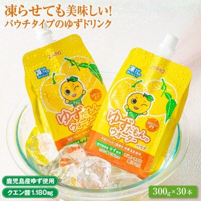 【毎月定期便】ゆずドリンクパウチ ゆずだもん。ストレートタイプ(300g×30本)(伊佐市)全3回