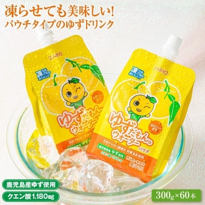 【毎月定期便】ゆずドリンクパウチ ゆずだもん。ストレートタイプ(300g×60本)(伊佐市)全3回