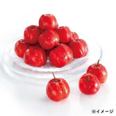 【毎月定期便】コラーゲンドリンク アセロラコラーゲン(50ml×30本)(伊佐市)全3回