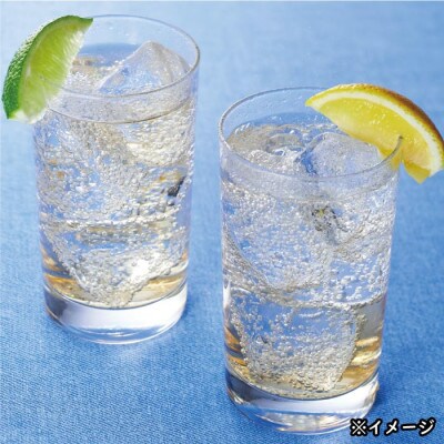【毎月定期便】財寶温泉 レモン水(500ml×24本)(伊佐市)全6回