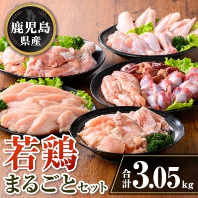 鹿児島県産 若鶏まるごとセット(合計3.05kg) isa717(伊佐市)