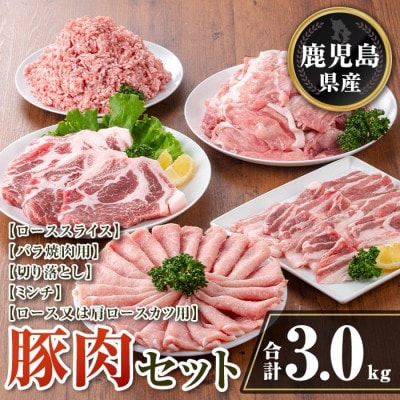 鹿児島県産 豚肉セット (合計3kg) isa733(伊佐市)