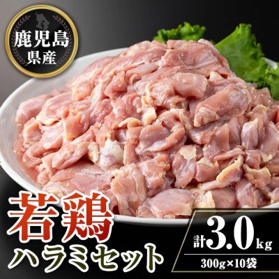 鹿児島県産若鶏ハラミセット(計3kg・300g×10P)　isa716(伊佐市)