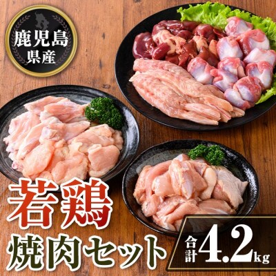 鹿児島県産 若鶏焼肉セット (合計4.2kg) isa726(伊佐市)