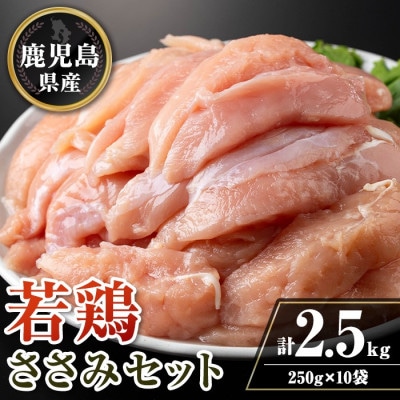 鹿児島県産若鶏ささみセット(計2.5kg・250g×10P) isa714(伊佐市)