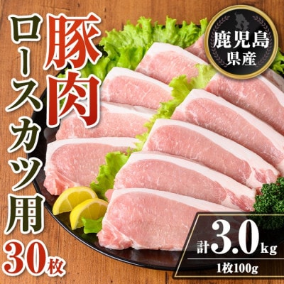 鹿児島県産 豚肉ロースカツ用30枚セット(計3kg) isa708(伊佐市)