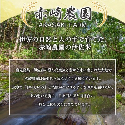 鹿児島県産ひのひかり(20kg)  伊佐米 isa869