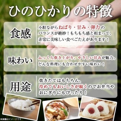 鹿児島県産ひのひかり(20kg)  伊佐米 isa869