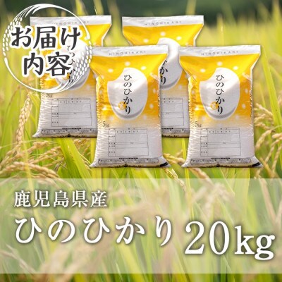 鹿児島県産ひのひかり(20kg)  伊佐米 isa869
