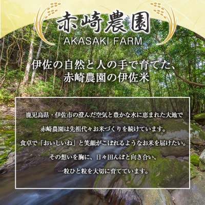 鹿児島県産あきほなみ(10kg)  伊佐米 isa806