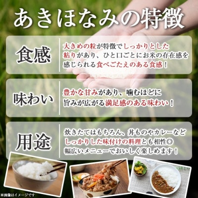 鹿児島県産あきほなみ(10kg)  伊佐米 isa806