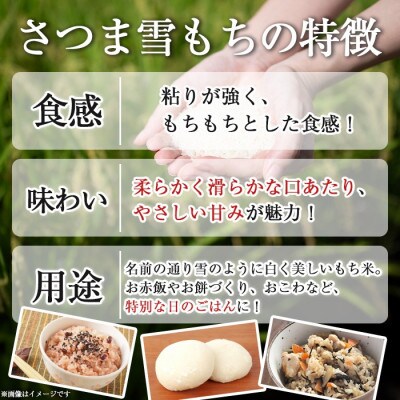 鹿児島県産もち米(10kg)  伊佐米 isa810