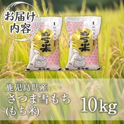 鹿児島県産もち米(10kg)  伊佐米 isa810