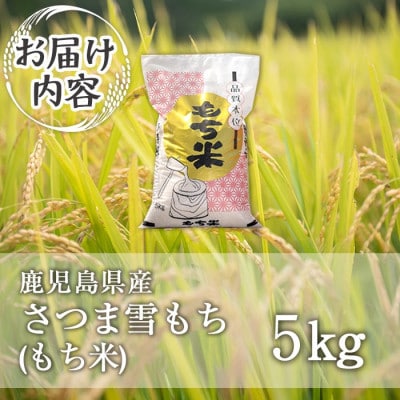 鹿児島県産もち米(5kg)  伊佐米 isa809