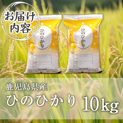 鹿児島県産ひのひかり(10kg)  伊佐米 isa808